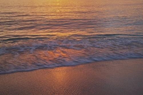 Coast;Patterns;Florida;Botanicals;Plants;Textures;Sandy;Ocean;Waves;Abstracts;Seascape;Sanibel Captiva Island;Beaches;Shoreline;Flora;Botanical;Plant;Sand;Botany;Vegetation;Abstraction;Greenery;Sanibel;Beach;Shore;Coastline